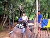 11-21 405 Elephant Trekking, Krabi.jpg